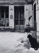 Janine Niépce : Le Chat de la concierge rue de Tournon