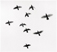 Nine Birds / Neuf oiseaux
