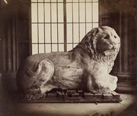 L. Caldesi and C° : "Lion de Cnide, British Museum"