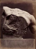 L. Caldesi and C° : "Elgin Marbles, British Museum. Upper part of the torso of Neptune"
