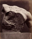 L. Caldesi and C, Elgin Marbles, British Museum. Neptune