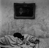 Portrait of a sleeping girl