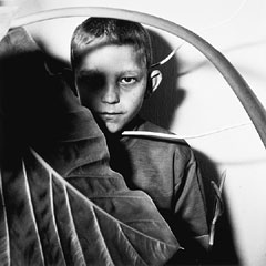 Study of boy and plant