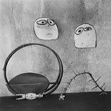 Ambivalence