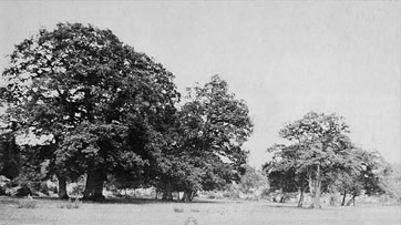 Fort de Fontainebleau. John B. Greene.