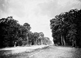Fontainebleau.  Perspective du pav de Chailly, ciel nuageux