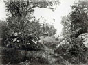 Arbres et roches moussues. Cuvelier.