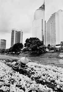 Djakarta